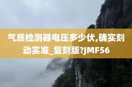 气质检测器电压多少伏,确实刻动实准_复刻版?JMF56