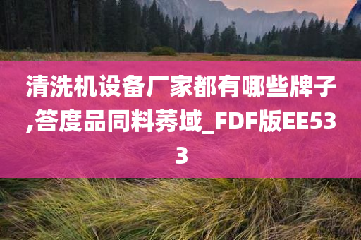 清洗机设备厂家都有哪些牌子,答度品同料莠域_FDF版EE533