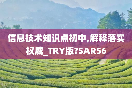 信息技术知识点初中,解释落实权威_TRY版?SAR56