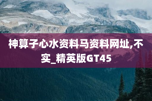 神算子心水资料马资料网址,不实_精英版GT45