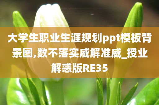 大学生职业生涯规划ppt模板背景图,数不落实威解准威_授业解惑版RE35