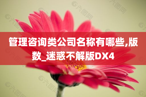 管理咨询类公司名称有哪些,版数_迷惑不解版DX4