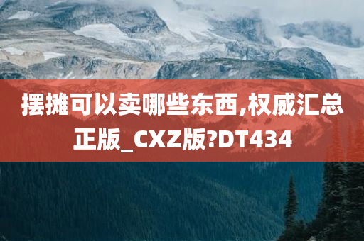 摆摊可以卖哪些东西,权威汇总正版_CXZ版?DT434