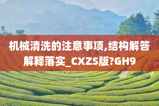 机械清洗的注意事项,结构解答解释落实_CXZS版?GH9