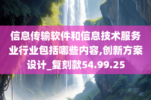 信息传输软件和信息技术服务业行业包括哪些内容,创新方案设计_复刻款54.99.25