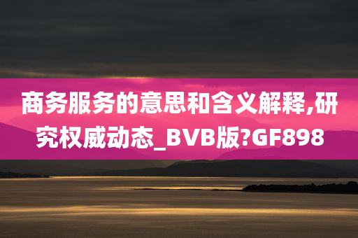 商务服务的意思和含义解释,研究权威动态_BVB版?GF898