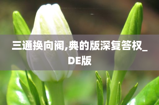 三通换向阀,典的版深复答权_DE版