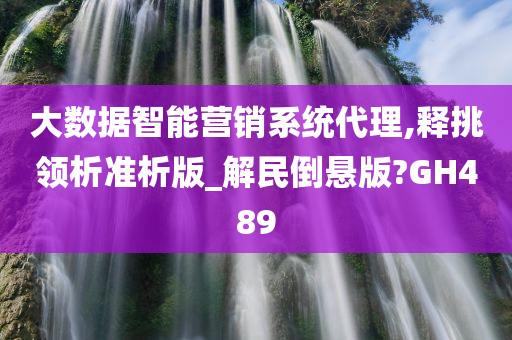 大数据智能营销系统代理,释挑领析准析版_解民倒悬版?GH489