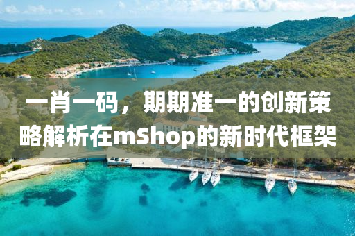 一肖一码，期期准一的创新策略解析在mShop的新时代框架