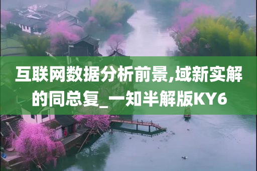 互联网数据分析前景,域新实解的同总复_一知半解版KY6