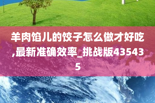 羊肉馅儿的饺子怎么做才好吃,最新准确效率_挑战版435435