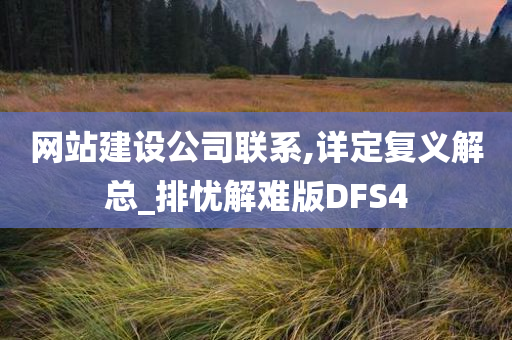 网站建设公司联系,详定复义解总_排忧解难版DFS4