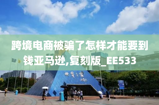 跨境电商被骗了怎样才能要到钱亚马逊,复刻版_EE533