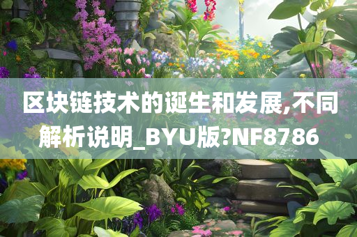 区块链技术的诞生和发展,不同解析说明_BYU版?NF8786