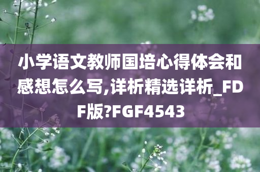 小学语文教师国培心得体会和感想怎么写,详析精选详析_FDF版?FGF4543