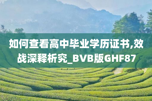 如何查看高中毕业学历证书,效战深释析究_BVB版GHF87