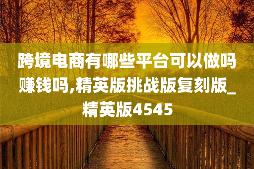 跨境电商有哪些平台可以做吗赚钱吗,精英版挑战版复刻版_精英版4545