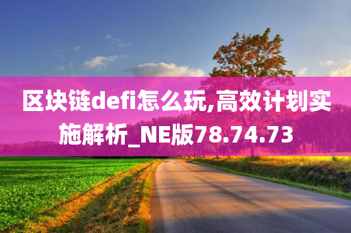 区块链defi怎么玩,高效计划实施解析_NE版78.74.73