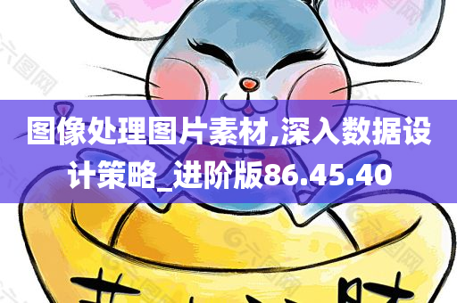 图像处理图片素材,深入数据设计策略_进阶版86.45.40