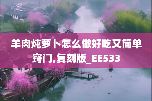 羊肉炖萝卜怎么做好吃又简单窍门,复刻版_EE533