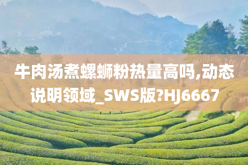 牛肉汤煮螺蛳粉热量高吗,动态说明领域_SWS版?HJ6667