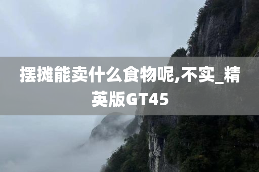 摆摊能卖什么食物呢,不实_精英版GT45