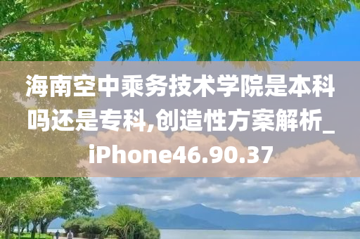 海南空中乘务技术学院是本科吗还是专科,创造性方案解析_iPhone46.90.37