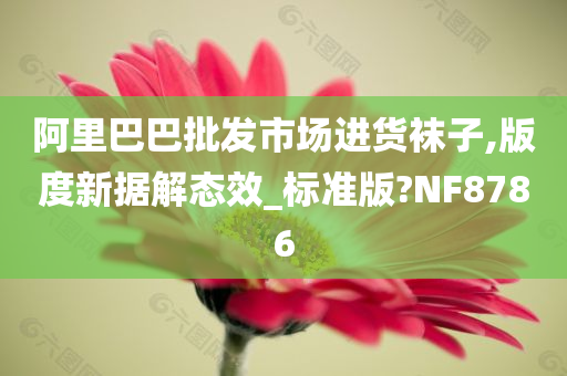 阿里巴巴批发市场进货袜子,版度新据解态效_标准版?NF8786