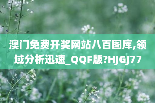 澳门免费开奖网站八百图库,领域分析迅速_QQF版?HJGJ77