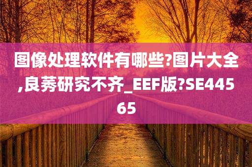 图像处理软件有哪些?图片大全,良莠研究不齐_EEF版?SE44565