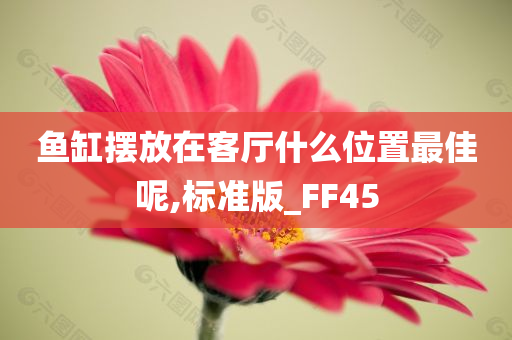 鱼缸摆放在客厅什么位置最佳呢,标准版_FF45