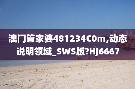 澳门管家婆481234C0m,动态说明领域_SWS版?HJ6667