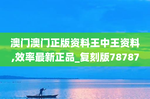 澳门澳门正版资料王中王资料,效率最新正品_复刻版78787