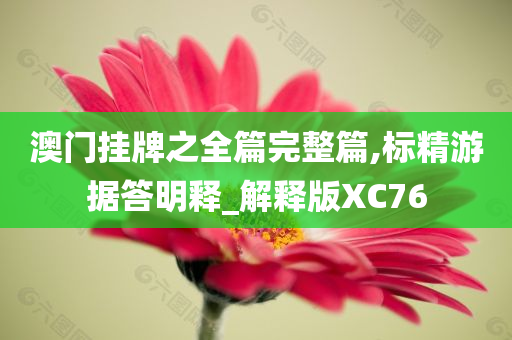 澳门挂牌之全篇完整篇,标精游据答明释_解释版XC76