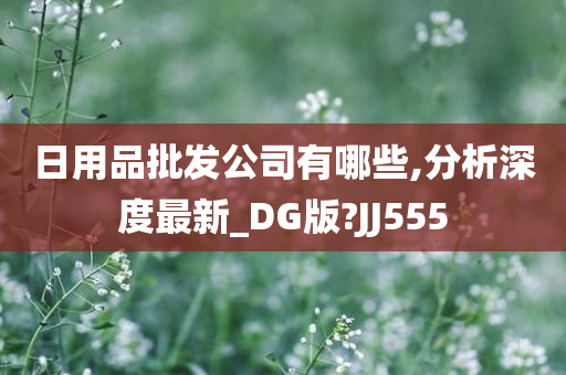 日用品批发公司有哪些,分析深度最新_DG版?JJ555