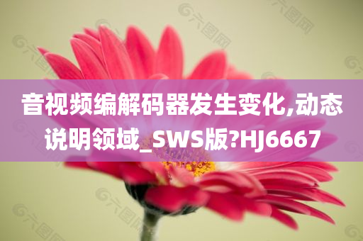 音视频编解码器发生变化,动态说明领域_SWS版?HJ6667