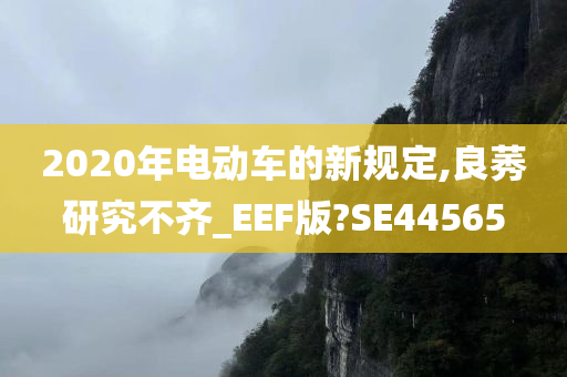 2020年电动车的新规定,良莠研究不齐_EEF版?SE44565