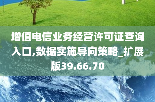 增值电信业务经营许可证查询入口,数据实施导向策略_扩展版39.66.70