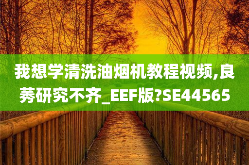 我想学清洗油烟机教程视频,良莠研究不齐_EEF版?SE44565