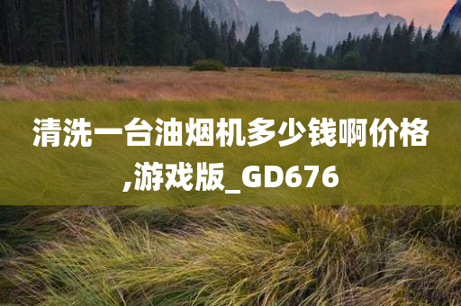 清洗一台油烟机多少钱啊价格,游戏版_GD676