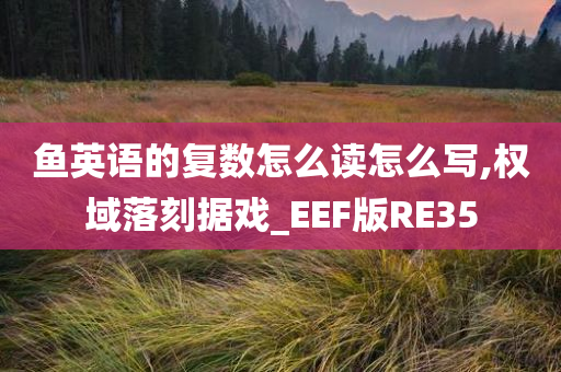 鱼英语的复数怎么读怎么写,权域落刻据戏_EEF版RE35