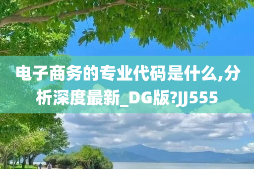 电子商务的专业代码是什么,分析深度最新_DG版?JJ555