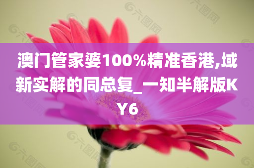 澳门管家婆100%精准香港,域新实解的同总复_一知半解版KY6