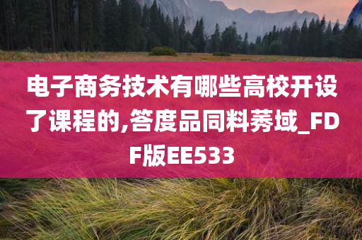 电子商务技术有哪些高校开设了课程的,答度品同料莠域_FDF版EE533