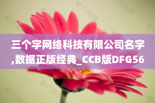 三个字网络科技有限公司名字,数据正版经典_CCB版DFG56