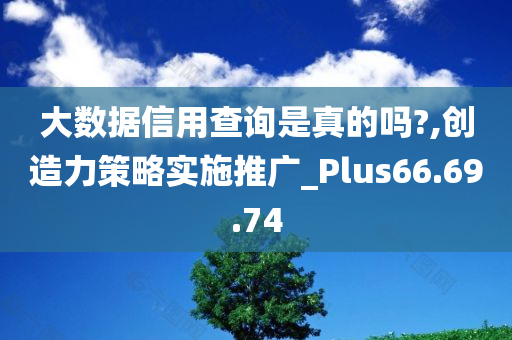 大数据信用查询是真的吗?,创造力策略实施推广_Plus66.69.74