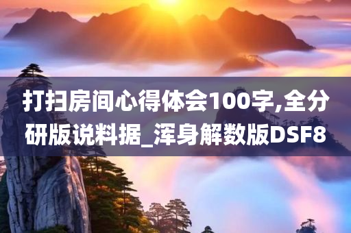 打扫房间心得体会100字,全分研版说料据_浑身解数版DSF8