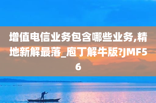 增值电信业务包含哪些业务,精地新解最落_庖丁解牛版?JMF56