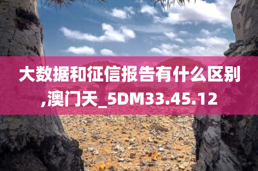 大数据和征信报告有什么区别,澳门天_5DM33.45.12