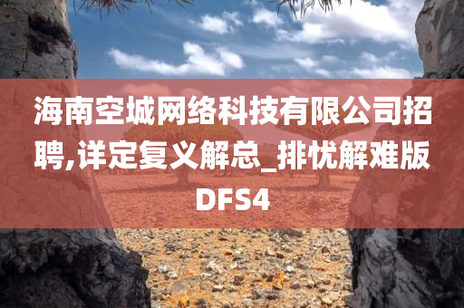 海南空城网络科技有限公司招聘,详定复义解总_排忧解难版DFS4